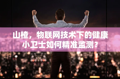 山楂，物联网技术下的健康小卫士如何精准监测？