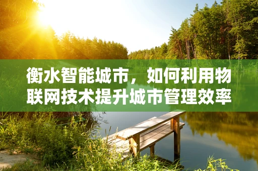 衡水智能城市，如何利用物联网技术提升城市管理效率？