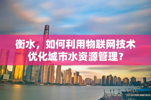 衡水，如何利用物联网技术优化城市水资源管理？