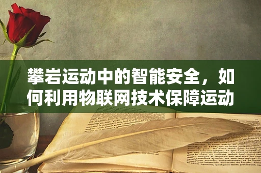攀岩运动中的智能安全，如何利用物联网技术保障运动员安全？