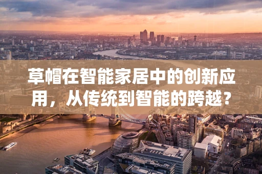 草帽在智能家居中的创新应用，从传统到智能的跨越？
