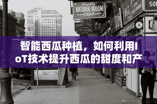 智能西瓜种植，如何利用IoT技术提升西瓜的甜度和产量？