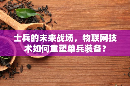 士兵的未来战场，物联网技术如何重塑单兵装备？