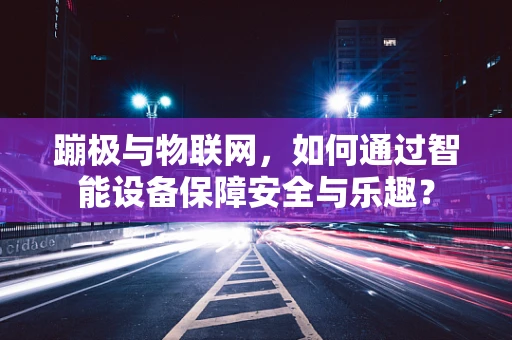 蹦极与物联网，如何通过智能设备保障安全与乐趣？