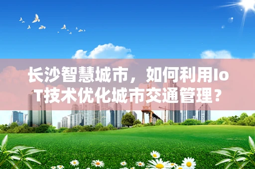 长沙智慧城市，如何利用IoT技术优化城市交通管理？