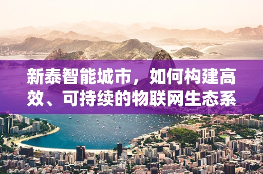 新泰智能城市，如何构建高效、可持续的物联网生态系统？