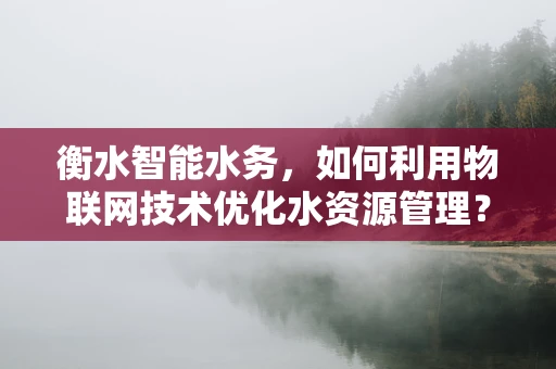 衡水智能水务，如何利用物联网技术优化水资源管理？