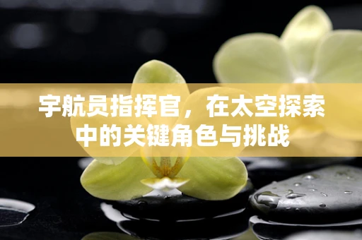 宇航员指挥官，在太空探索中的关键角色与挑战