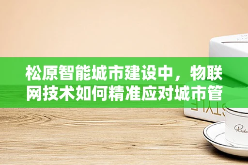 松原智能城市建设中，物联网技术如何精准应对城市管理挑战？