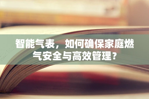 智能气表，如何确保家庭燃气安全与高效管理？