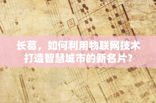 长葛，如何利用物联网技术打造智慧城市的新名片？