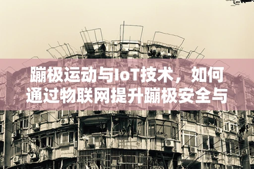 蹦极运动与IoT技术，如何通过物联网提升蹦极安全与体验？