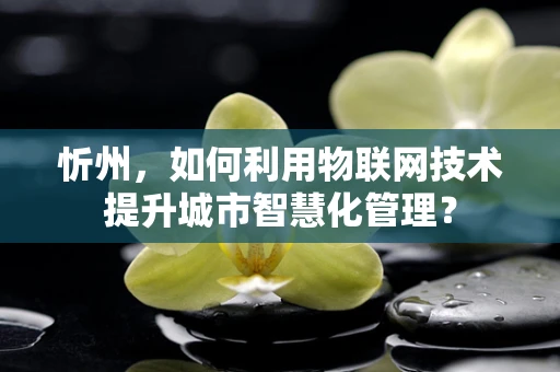 忻州，如何利用物联网技术提升城市智慧化管理？