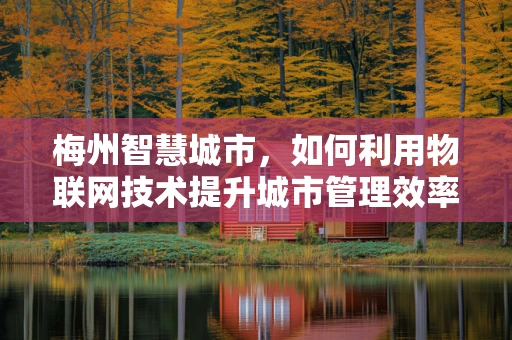梅州智慧城市，如何利用物联网技术提升城市管理效率？