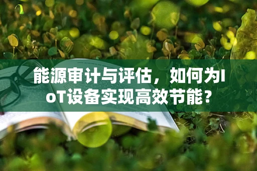 能源审计与评估，如何为IoT设备实现高效节能？