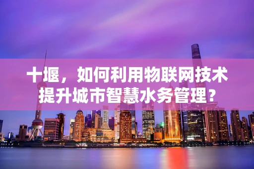 十堰，如何利用物联网技术提升城市智慧水务管理？