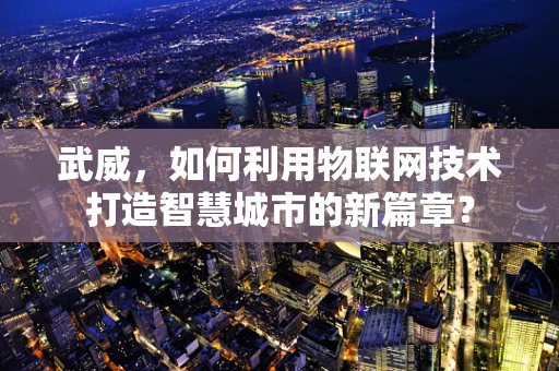 武威，如何利用物联网技术打造智慧城市的新篇章？