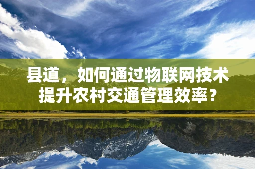 县道，如何通过物联网技术提升农村交通管理效率？