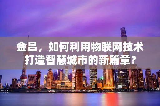 金昌，如何利用物联网技术打造智慧城市的新篇章？