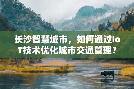 长沙智慧城市，如何通过IoT技术优化城市交通管理？