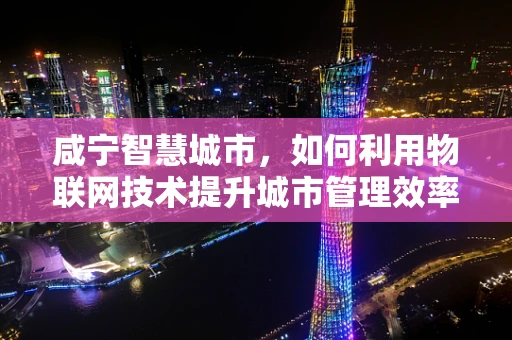 咸宁智慧城市，如何利用物联网技术提升城市管理效率？