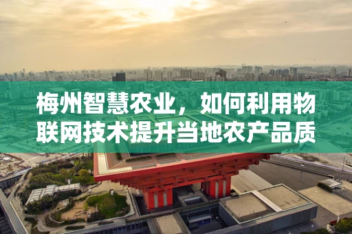 梅州智慧农业，如何利用物联网技术提升当地农产品质量与产量？