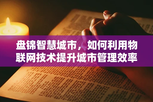 盘锦智慧城市，如何利用物联网技术提升城市管理效率？