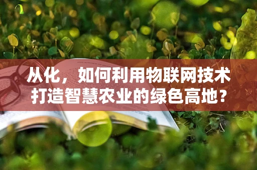从化，如何利用物联网技术打造智慧农业的绿色高地？