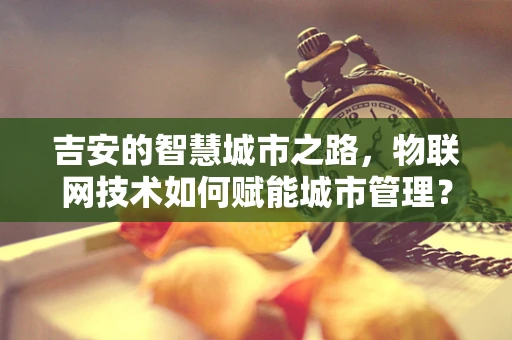 吉安的智慧城市之路，物联网技术如何赋能城市管理？