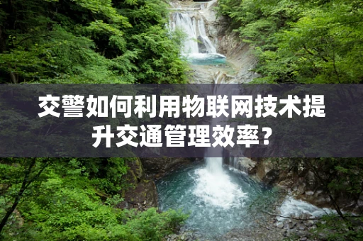 交警如何利用物联网技术提升交通管理效率？