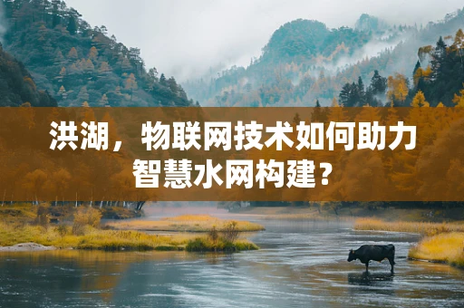 洪湖，物联网技术如何助力智慧水网构建？