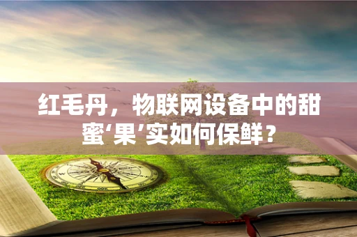 红毛丹，物联网设备中的甜蜜‘果’实如何保鲜？