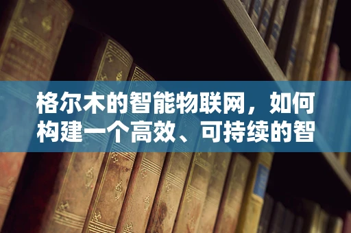 格尔木的智能物联网，如何构建一个高效、可持续的智能城市基础设施？