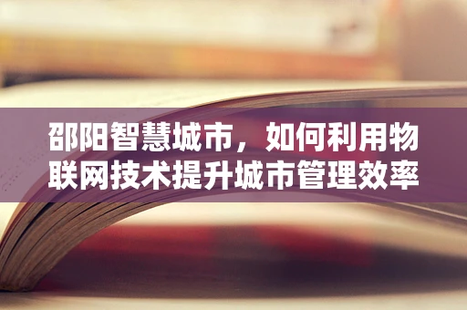 邵阳智慧城市，如何利用物联网技术提升城市管理效率？