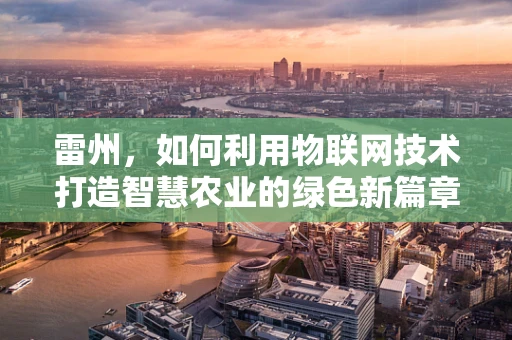 雷州，如何利用物联网技术打造智慧农业的绿色新篇章？
