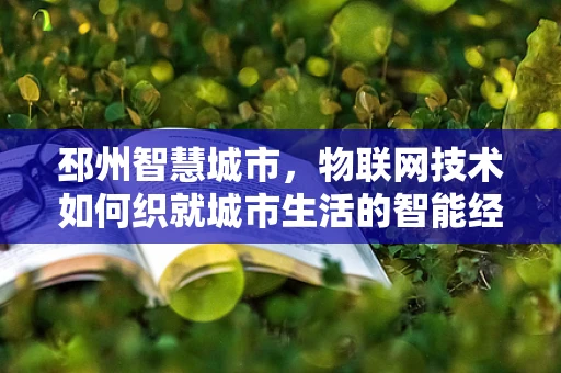 邳州智慧城市，物联网技术如何织就城市生活的智能经？