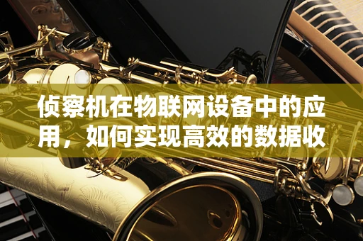 侦察机在物联网设备中的应用，如何实现高效的数据收集与监控？