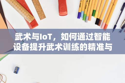 武术与IoT，如何通过智能设备提升武术训练的精准与效率？