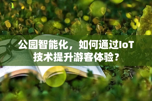 公园智能化，如何通过IoT技术提升游客体验？