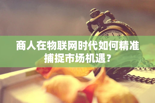 商人在物联网时代如何精准捕捉市场机遇？