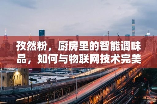 孜然粉，厨房里的智能调味品，如何与物联网技术完美融合？