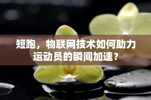 短跑，物联网技术如何助力运动员的瞬间加速？