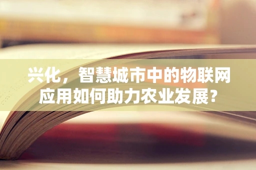兴化，智慧城市中的物联网应用如何助力农业发展？