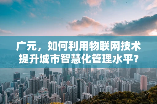 广元，如何利用物联网技术提升城市智慧化管理水平？