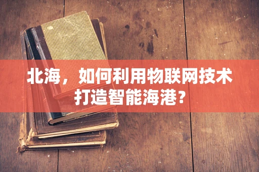 北海，如何利用物联网技术打造智能海港？
