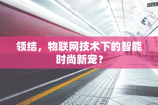 领结，物联网技术下的智能时尚新宠？