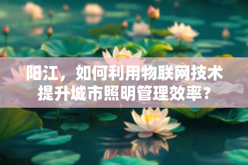 阳江，如何利用物联网技术提升城市照明管理效率？