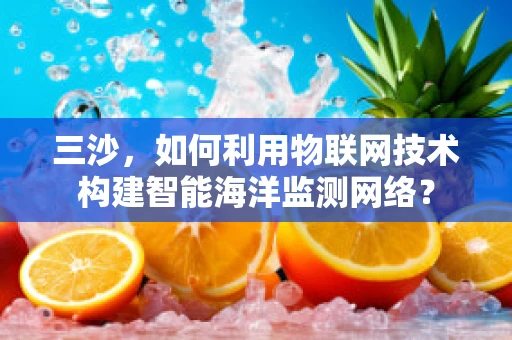 三沙，如何利用物联网技术构建智能海洋监测网络？