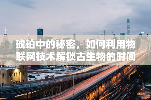 琥珀中的秘密，如何利用物联网技术解锁古生物的时间囊？