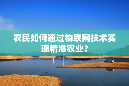 农民如何通过物联网技术实现精准农业？